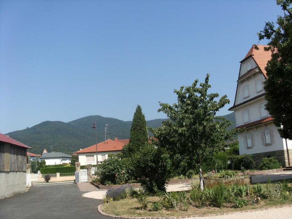 Gite Des Alisiers Wattwiller Exterior photo